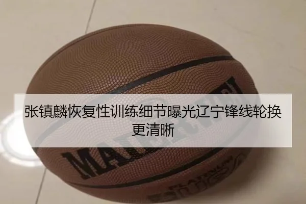 张镇麟恢复性训练细节曝光辽宁锋线轮换更清晰