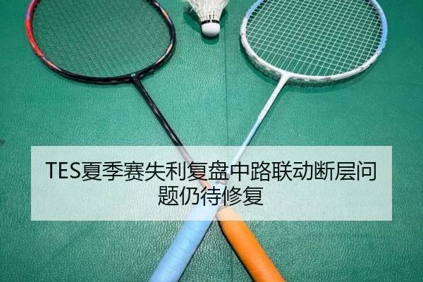 TES夏季赛失利复盘中路联动断层问题仍待修复